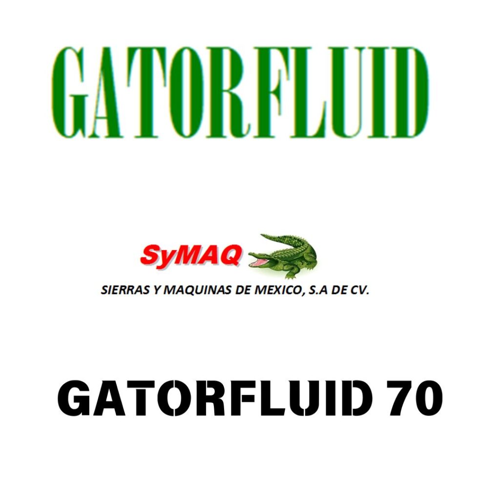 Copia de Copia de 𝗛𝗔𝗘𝗡𝗚 𝗦𝗨𝗡𝗚 (2)